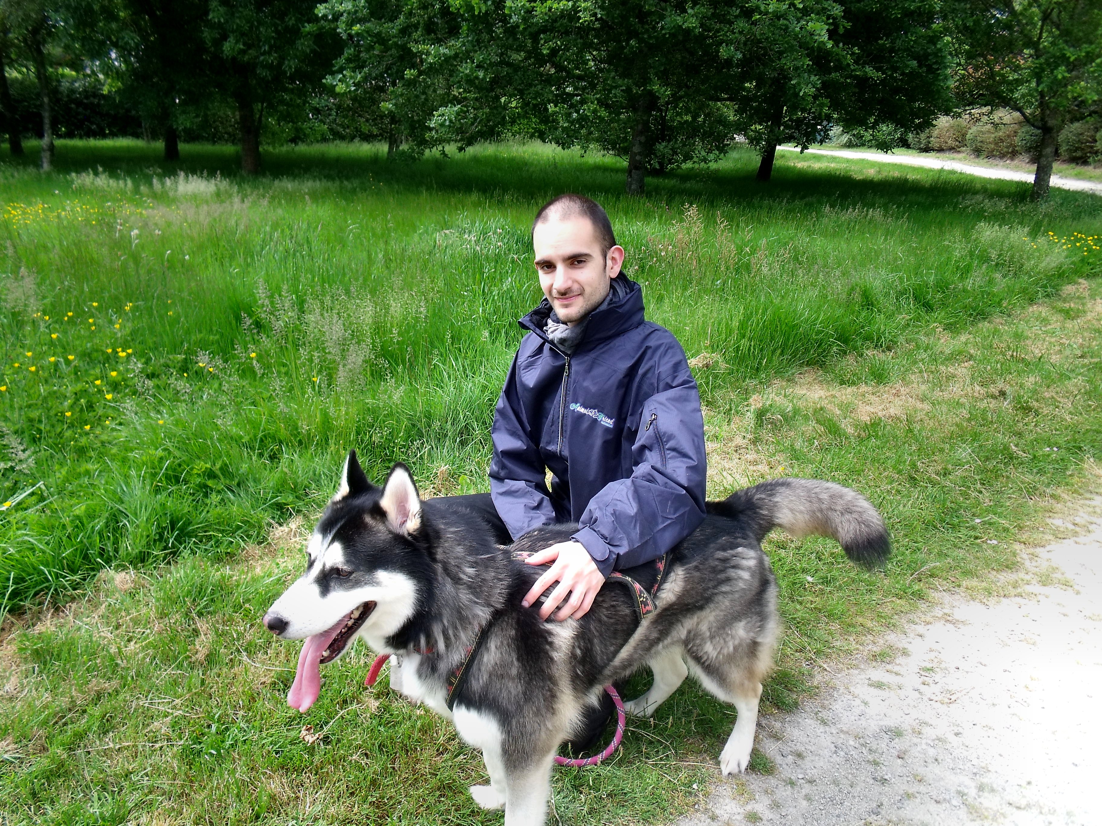 Animal Friend Services Animal Friend Services